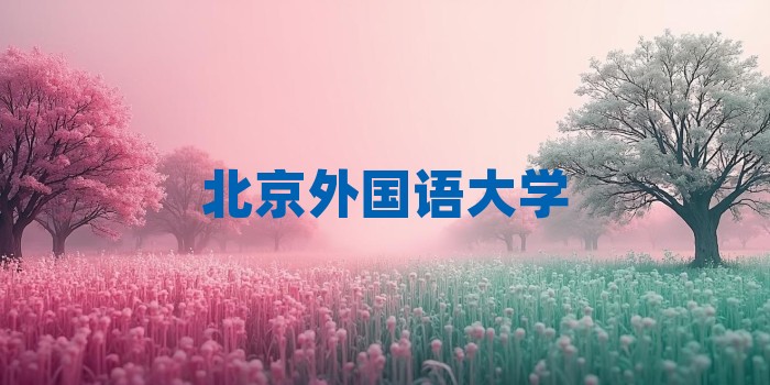 2026年北京外国语大学考研专业科目和学习资料