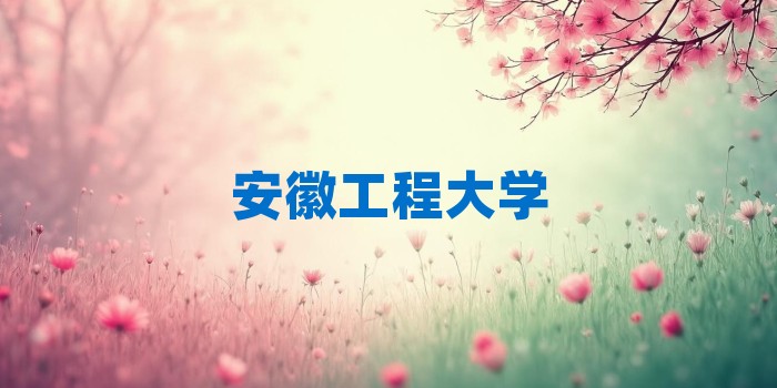 2026年安徽工程大学考研专业科目和学习资料