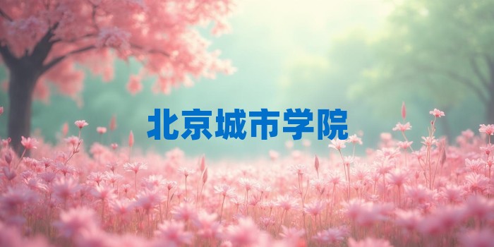 2026年北京城市学院考研专业科目和学习资料