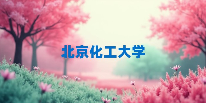 2026年北京化工大学考研专业科目和学习资料