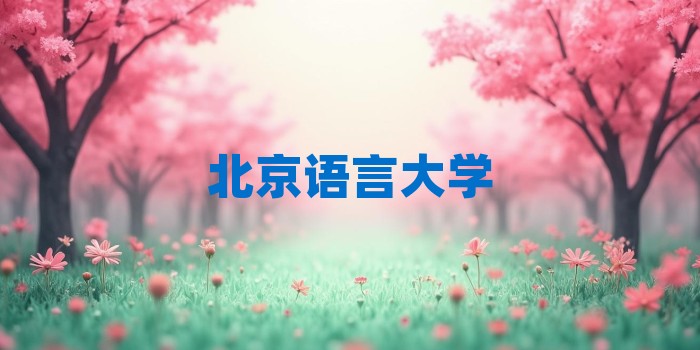 2026年北京语言大学考研专业科目和学习资料